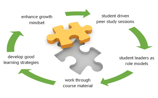 student driven peer study sessions student leaders as role models work through course material develop good learning strategies enhance growth mindset