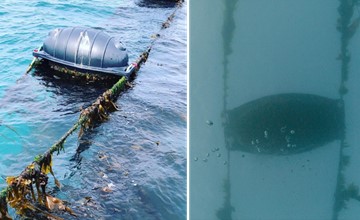 Picture showing seaweed farm buoy @Car-Y-Mor