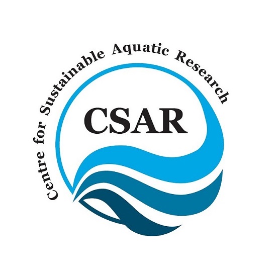 CSAR logo