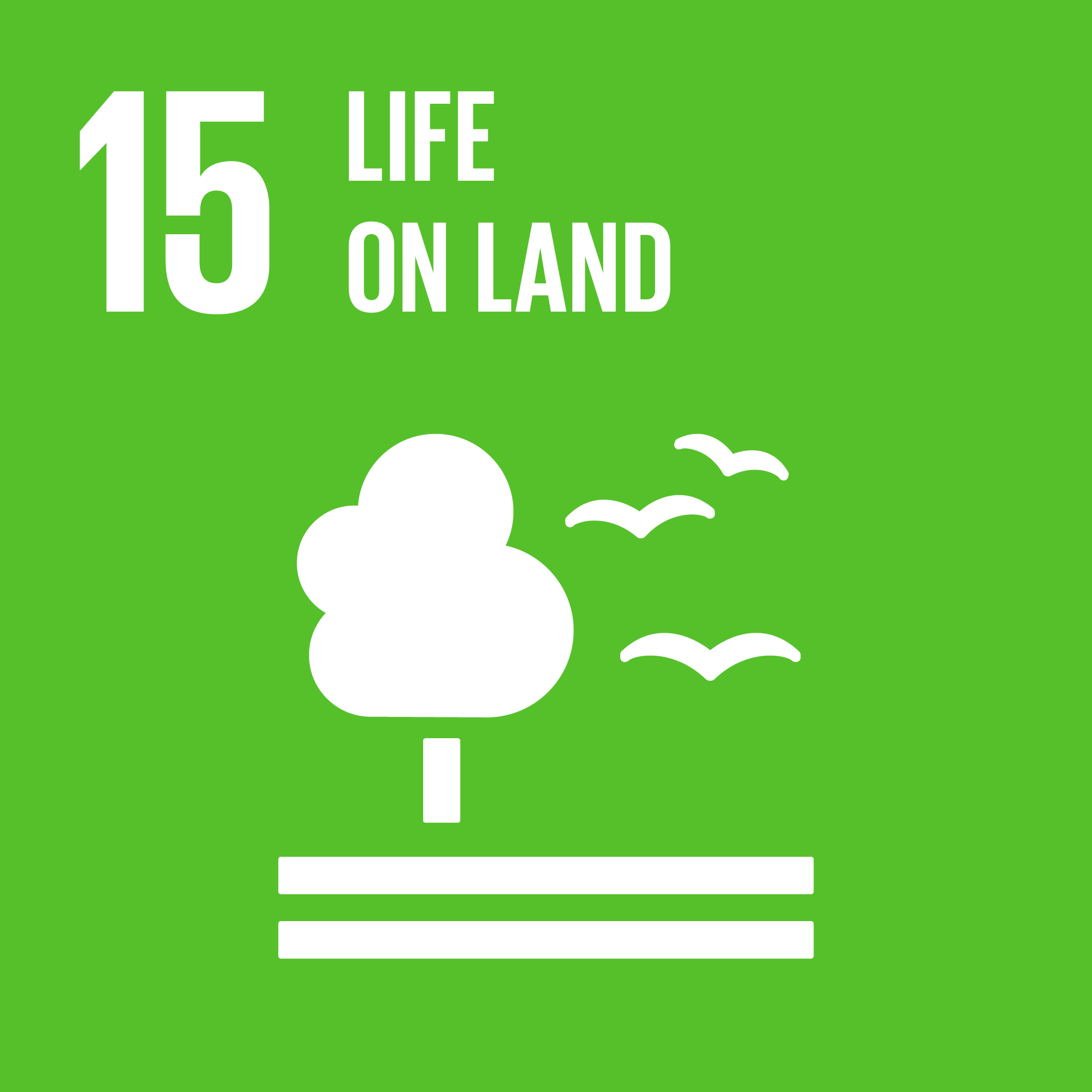 UNSDG Life on land