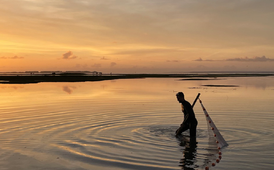 A person with a net at sunset