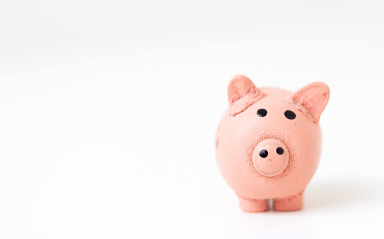 A piggy bank on a white background.