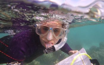 Student swimming underwater doing a survey