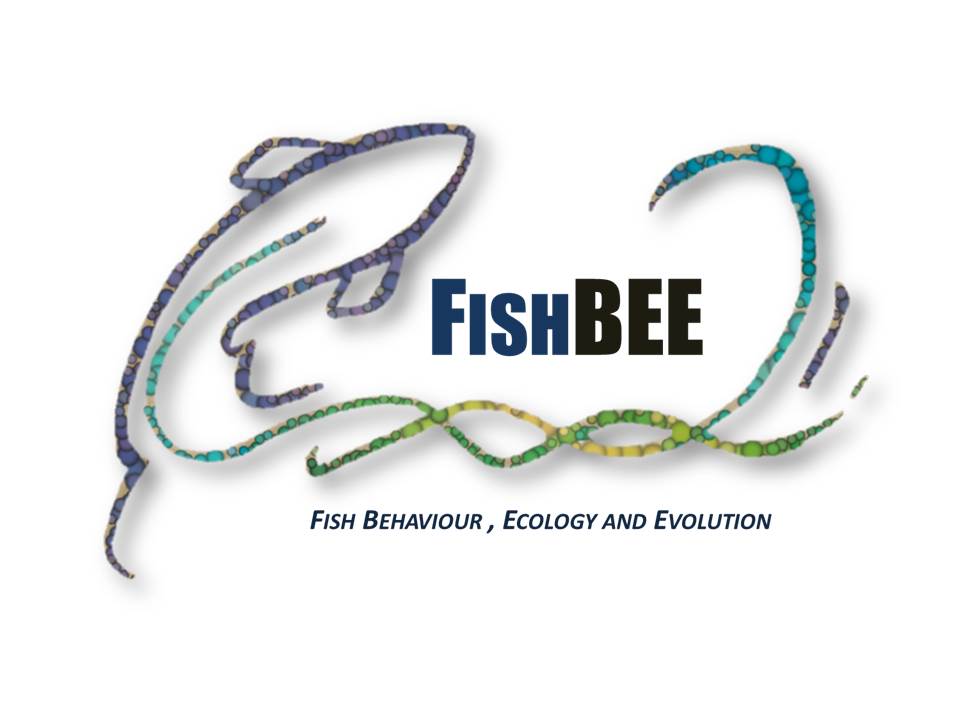 FISHBEE