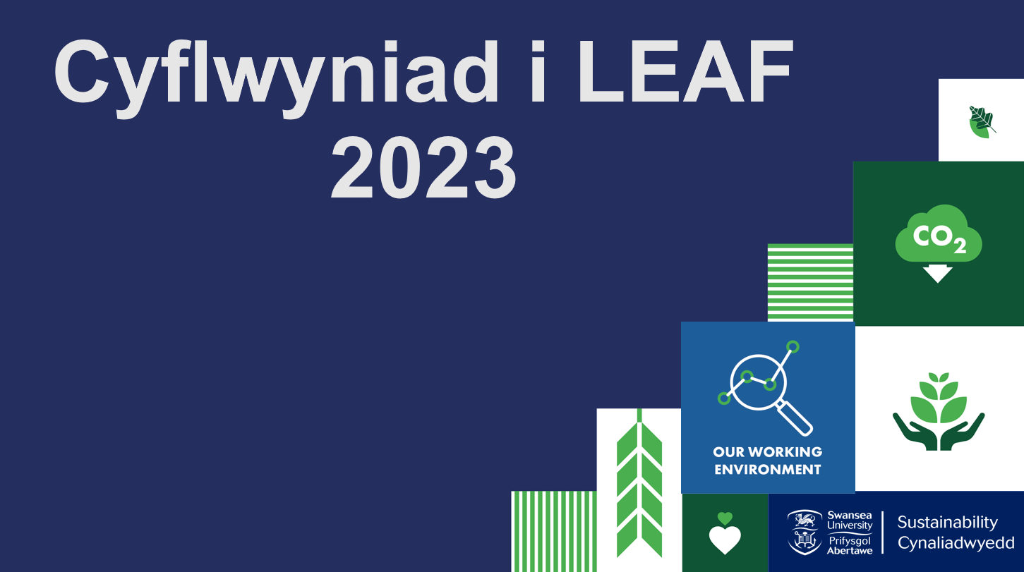 Cyflwyniad i LEAF