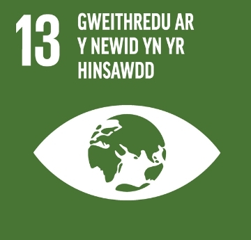 Nod Datblygu'r Cenhedloedd Unedig - Eicon Gweithredu y Newid yn yr Hinsawdd