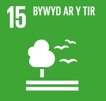 Nod Datblygu'r Cenhedloedd Unedig - Eicon Bywyd ar Dir