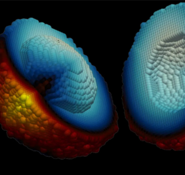 Graphic of a tumour