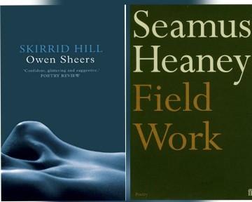 Book covers of Skirrid Hill and Field Work with a play button