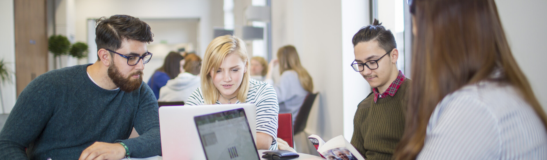 Students studying 