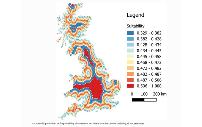 Mae’r llun yn dangos rhagfynegiadau model ynghylch y tebygolrwydd y ceir cregyn gleision rhesog, a addaswyd o waith Rodriguez-Rey et al (2021). 