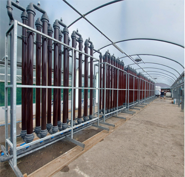 Algae in tubes