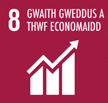 UNSG - Decent Work and Economics Growth