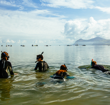 RESOW (REstoring Seagrass for Ocean Wealth)