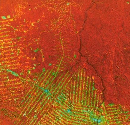 research-env-modelling- IMAGE 