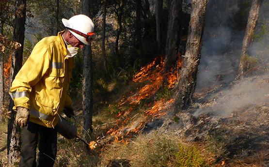 Prof Stefan Doerr on burning ground