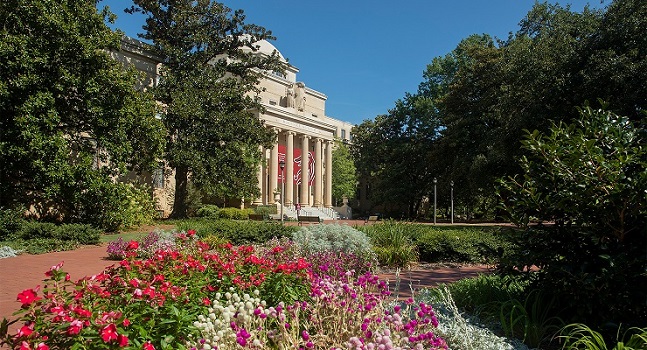 Building and flowers in bloom on a sunny day