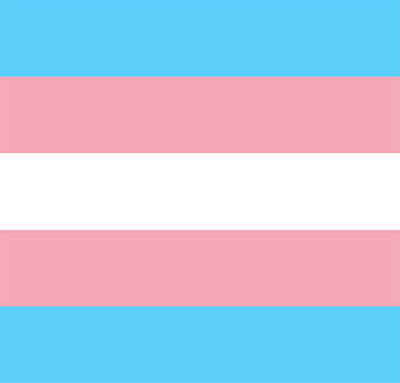 Trans flag