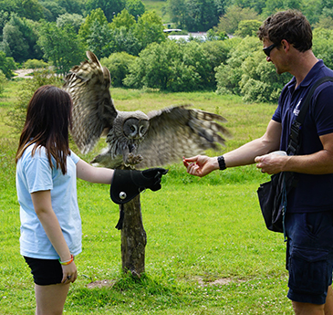 Girl with an owl