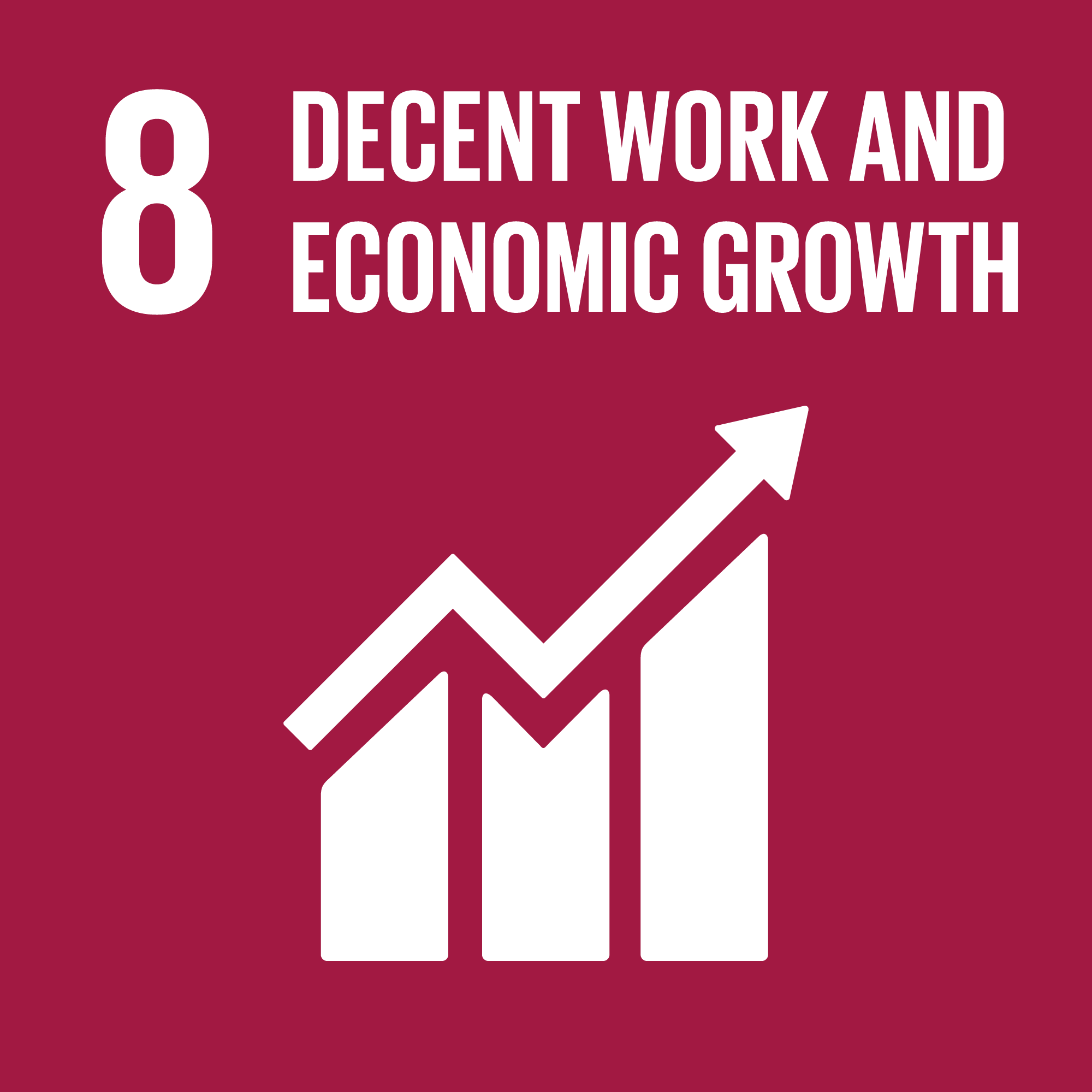 UNSDG Goal 8 - decent work