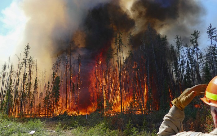 New study shows charred vegetation remains help to lessen overall carbon emission from wildfires