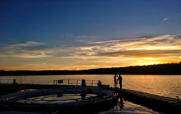 Image shows researchers testing water at Lake Stechlin