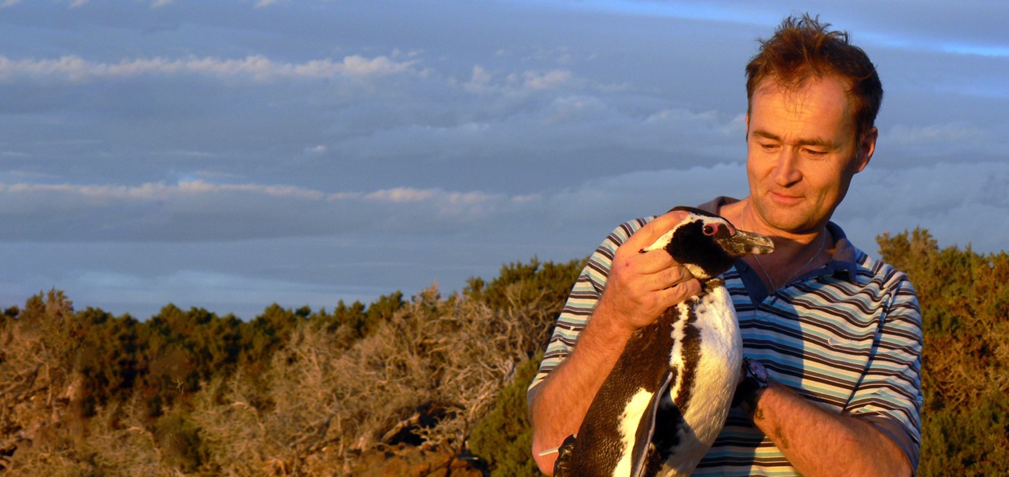 Professor Rory Wilson holding a penguin