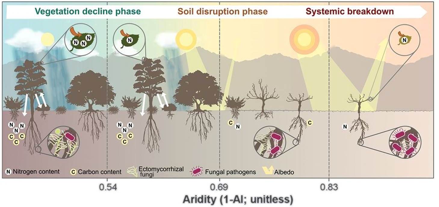 Map of climate change vulnerability in global drylands.