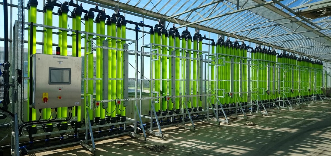 Project reveals how algae could play crucial role in sustainable food production