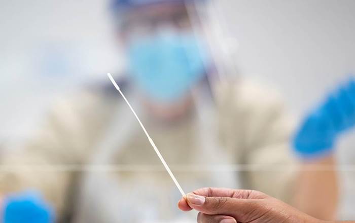 A woman's hand holding a Covid-19 test swab