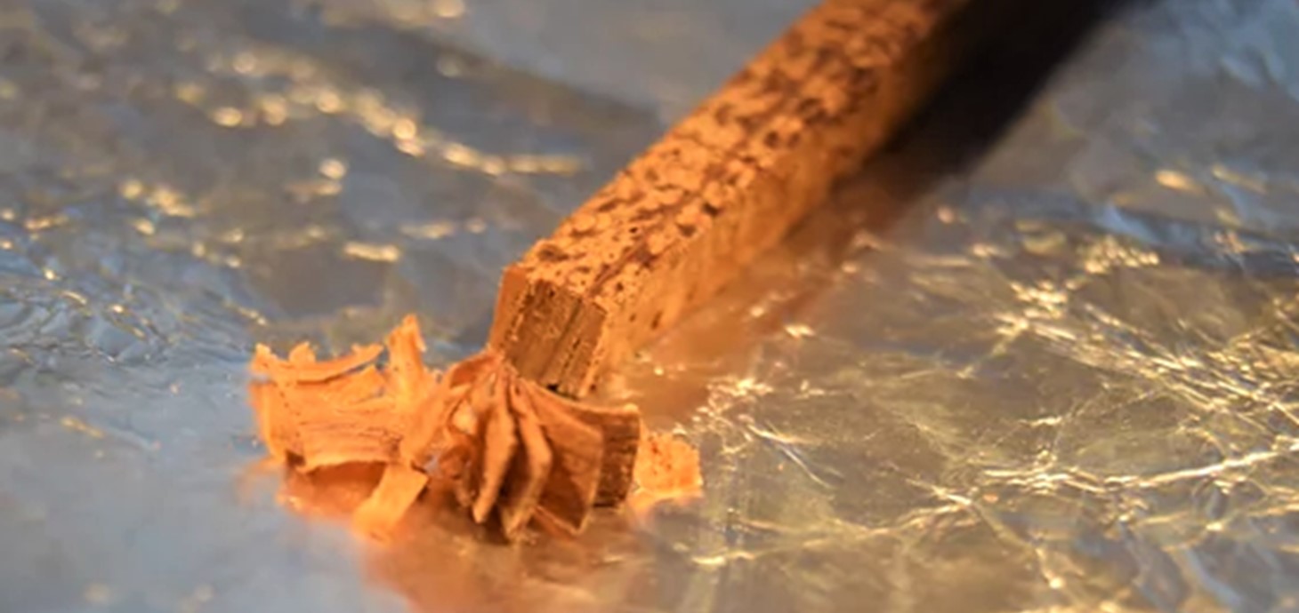 A tree ring carefully dissected prior to chemical analysis. Credit: UK Oak Project