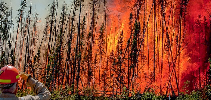 Man wearing protective gear with back to camera looking at wildfire burning through forest