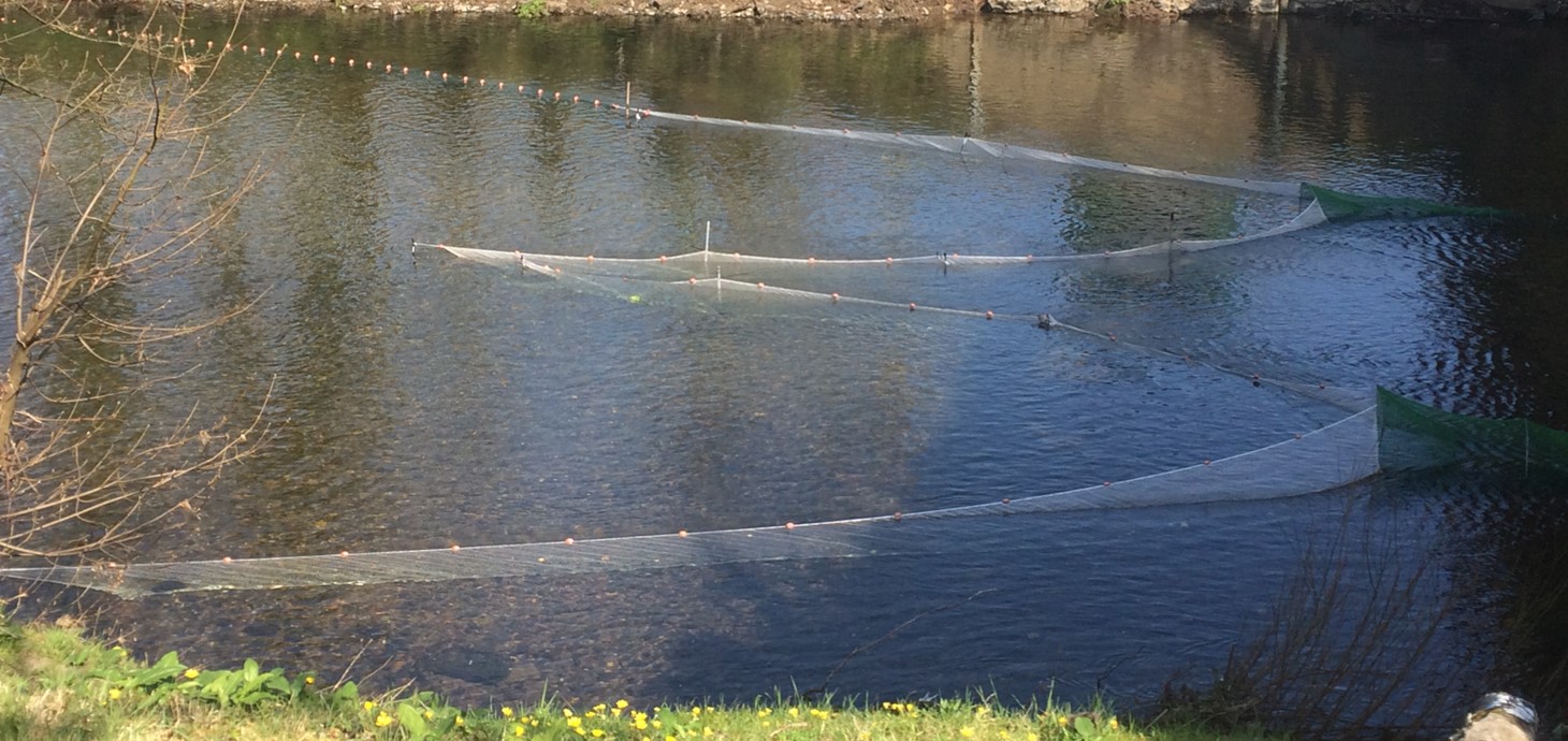Nets positioned in a river