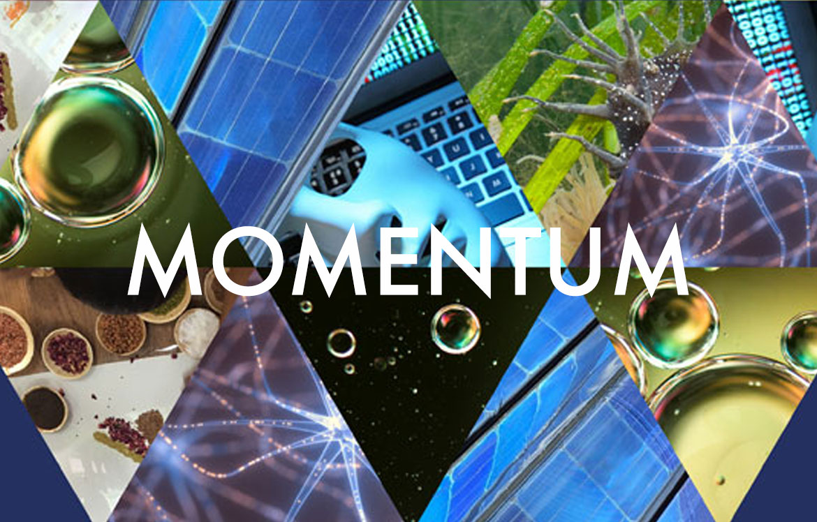 Momentum - Spring 2021