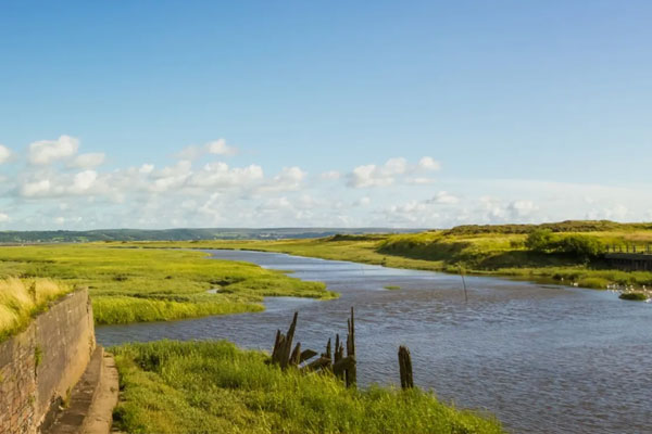 An estuary