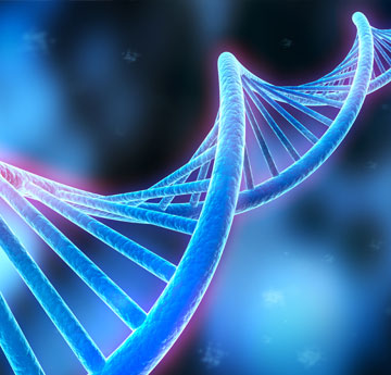 Illustration of a DNA strand