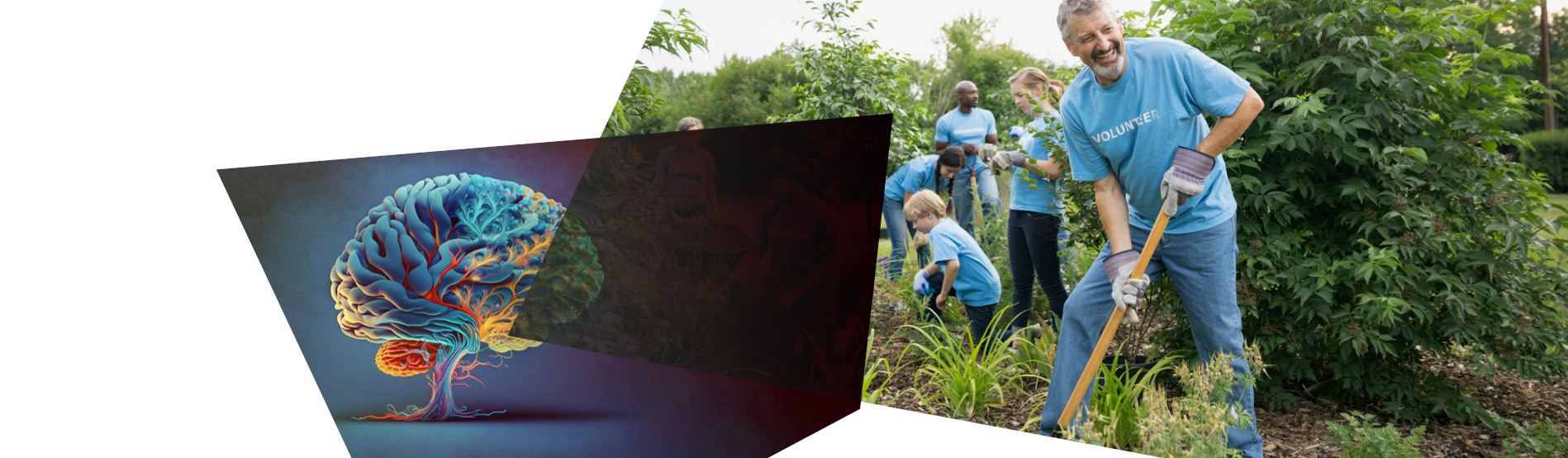 brain and group of people gardening