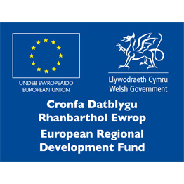 ERDF Logo