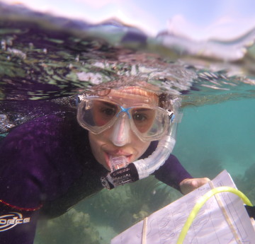 Student snorkelling