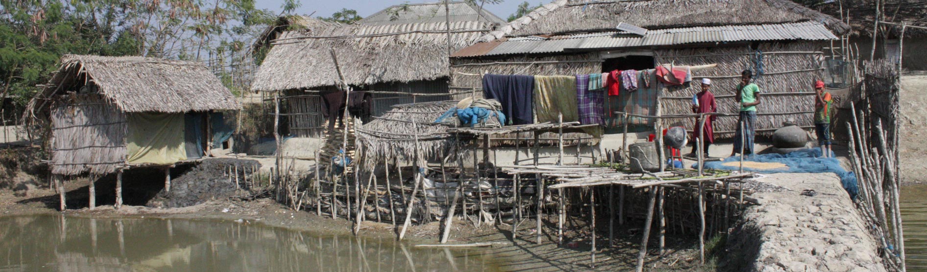 Shrimp farm, Bangladesh